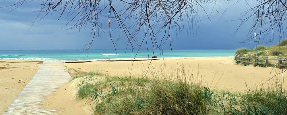 Il Sole Del Salento Bed & Breakfast Salve Dış mekan fotoğraf